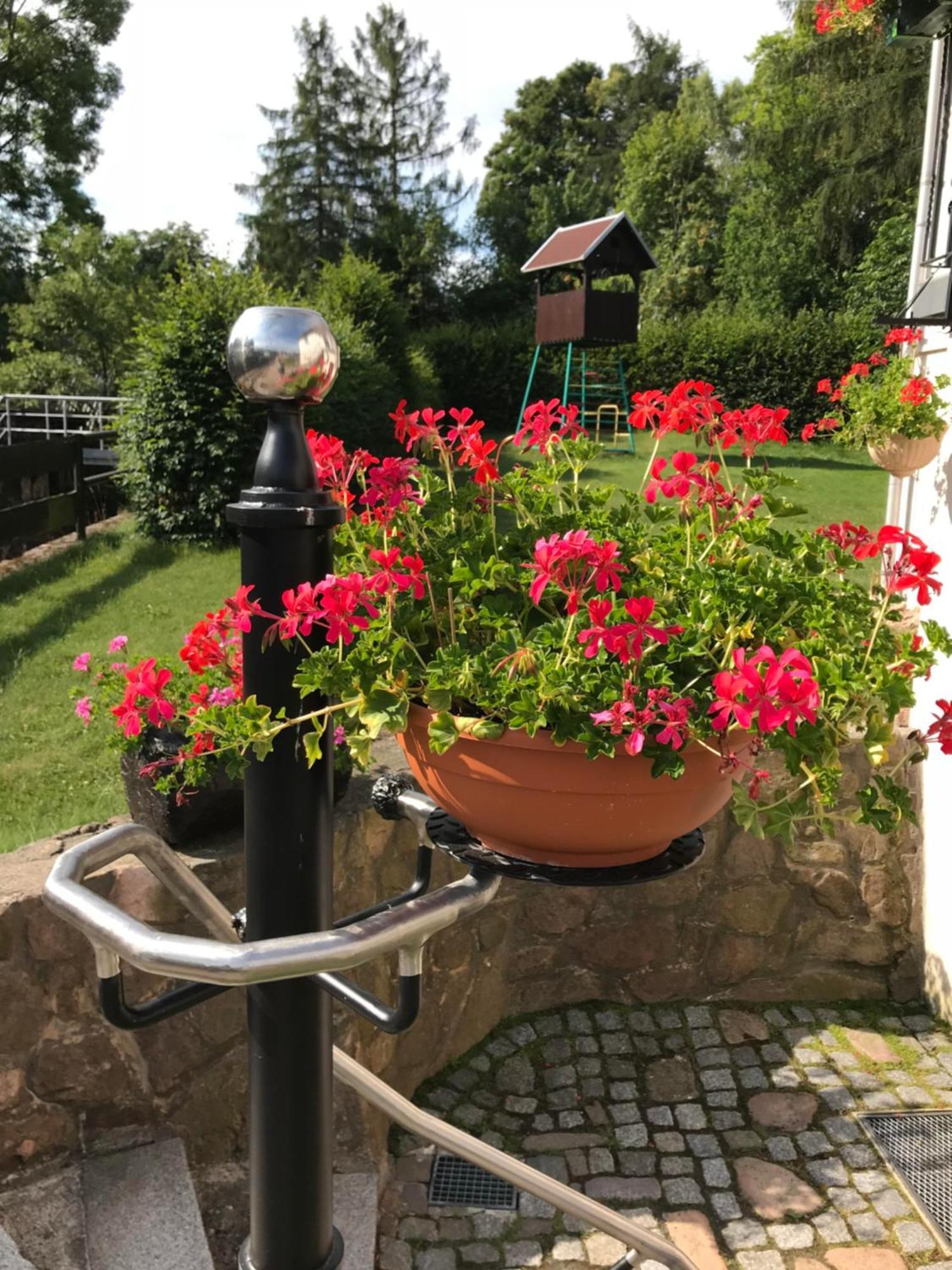 Ferienwohnung Grieser Geising Exterior foto