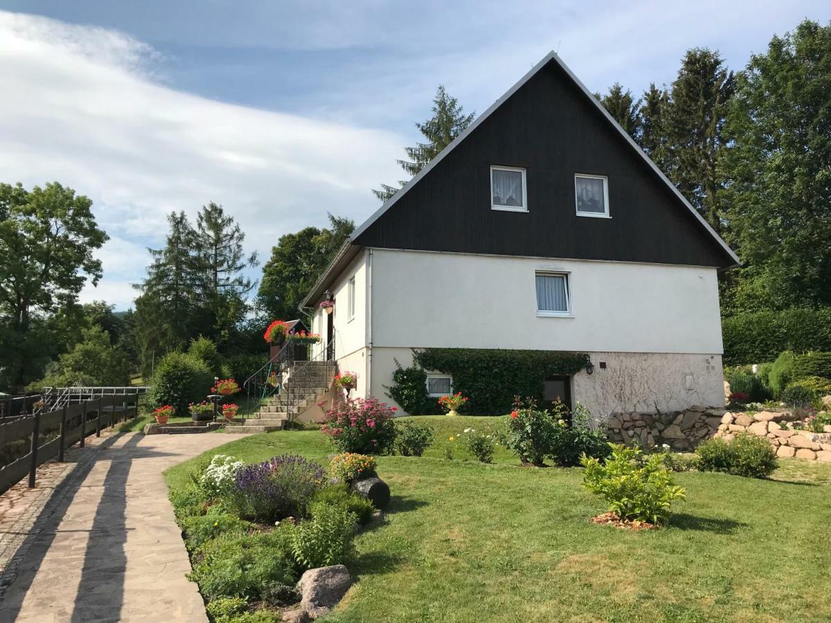 Ferienwohnung Grieser Geising Exterior foto